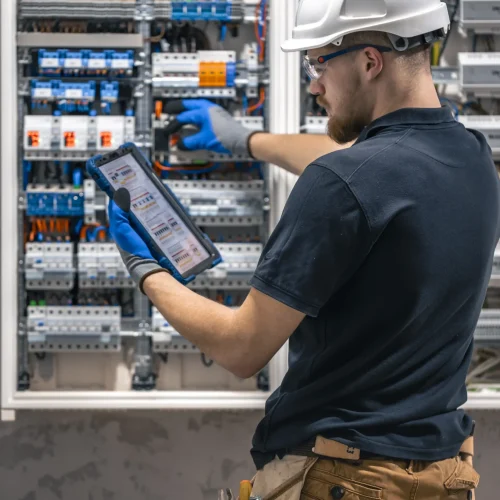 transición energética sostenible